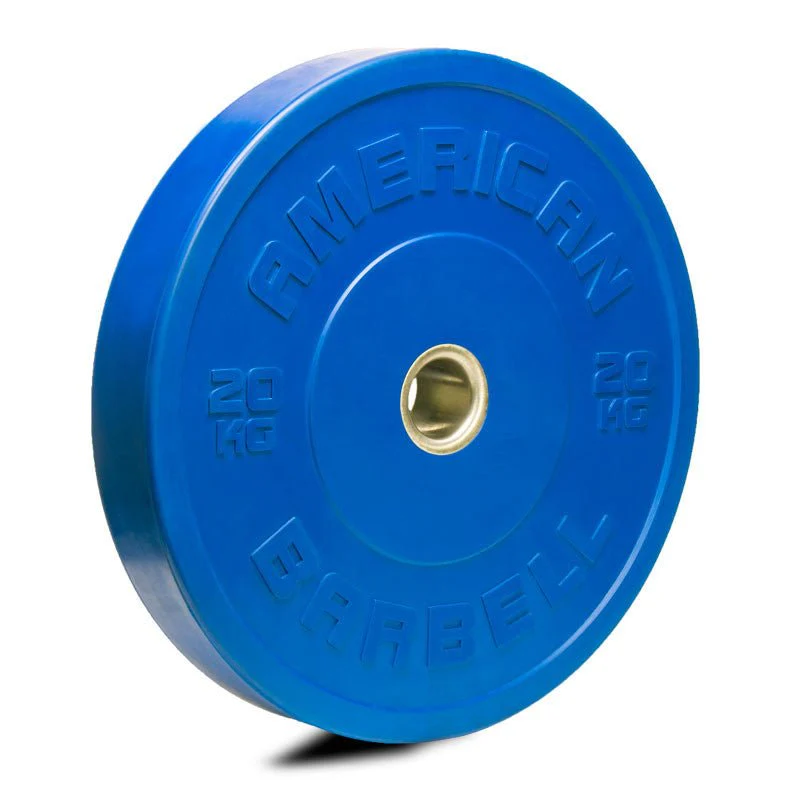 Bumper Plate - SALE